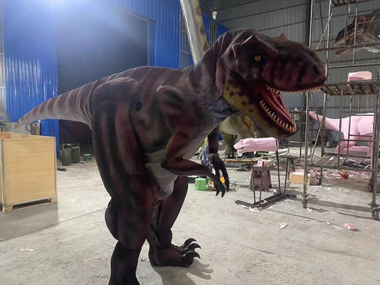 Lebensgroße Anpassung realistisches Dinosaurier Kostüm für Spielzimmer