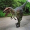 Raptor-Dinosaurier, ein echtes Dinosaurier-Kostüm zum Verkauf.