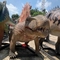 Sunproof Realistic Animatronic Dinosaurier 4m Dimetrodon Statue für Freizeitpark
