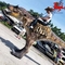 Erwachsene Dinosaurier T Rex Kostümgröße angepasst für Freizeitpark