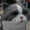 Lebensgroße realistische animatronische Katze, interaktive sprechende schöne Katze