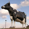 Realistische Tierstatuen-fertigte wasserdichte lebensgroße Kuh-Skulptur verfügbares besonders an