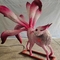 Elektronische handgefertigte realistische Geschöpf-chinesische Mythologie-Tier neun angebundener Fox