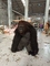 Plüsch pelzartiges erwachsenes realistisches Halloween kostümiert Maskottchen-Tiersmoking Fursuit-Gorilla