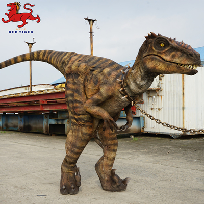 Guter Preis Animatronisches Velociraptor-Kostüm, künstliches Erwachsenen-Dinosaurier-Kostüm Online