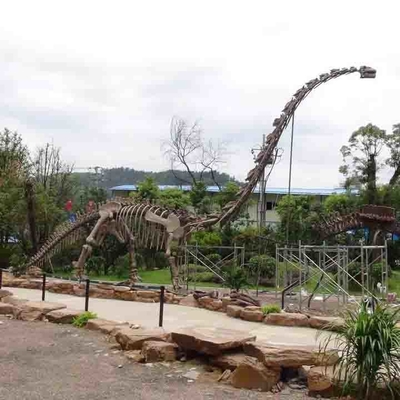 Großes Outdoor-Dinosaurier-Skelett, sonnenfestes Dinosaurier-Modell-Skelett