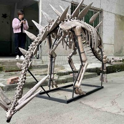 Ausstellung Jurassic Park Dinosaurierskelett, Dinosaurierknochennachbildungen