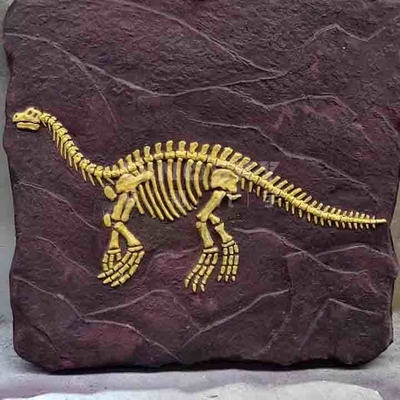 Guter Preis Outdoor-Dinosaurier-Skelett-Replik-Modell in Lebensgröße, RoHS-geprüft Online