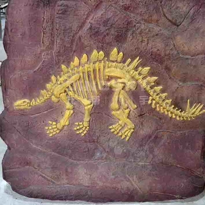Guter Preis Handgemachte Museums-Dinosaurier-Repliken, Dino-Schädel-Replik-Jugendalter Online