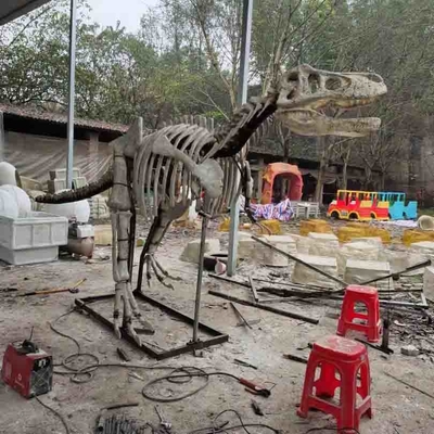 Guter Preis Outdoor / Indoor lebensgroße Dinosaurier-Schädel-Replik, Dinosaurier-Fossil-Repliken Online