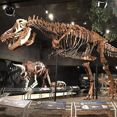 Wetterfeste Dinosaurier-Skelett-Replik / Dinosaurier-Knochen-Repliken