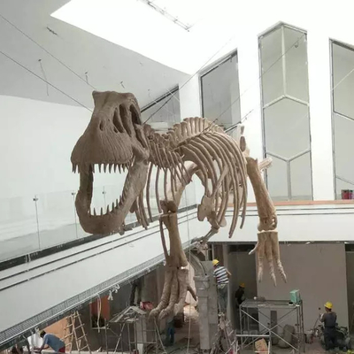 Guter Preis Indoor-Dinosaurier-Skelett-Replik Jugendalter 12 Monate Garantie Online
