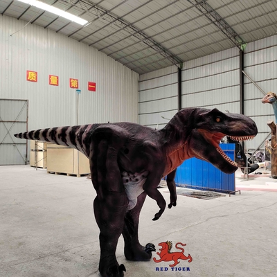 Kundenspezifisches T-Rex-Kostüm aus dem wirklichen Leben, Indoor-Tyrannosaurus-Anzug