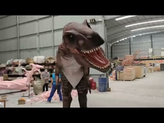 Personalisierung Realistisches Dinosaurierkostüm Carcharodontosaurus Modell