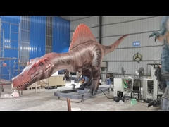 Lebensgröße Realistische Animatronische Dinosaurier Spinosaurier Servomotoren Große Bewegungsbreite